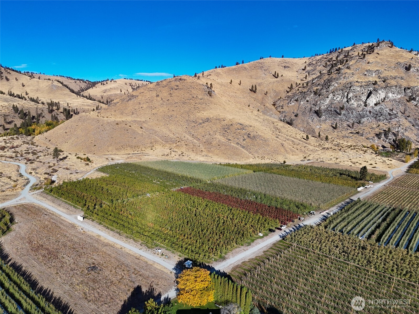 263 Oliver Lane Chelan WA 98816