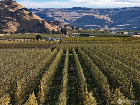 263 Oliver Lane Chelan WA 98816
