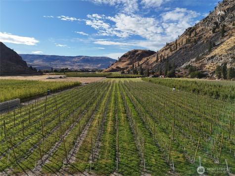 263 Oliver Lane Chelan WA 98816