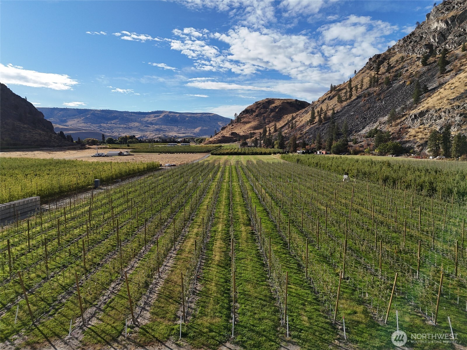 263 Oliver Lane Chelan WA 98816