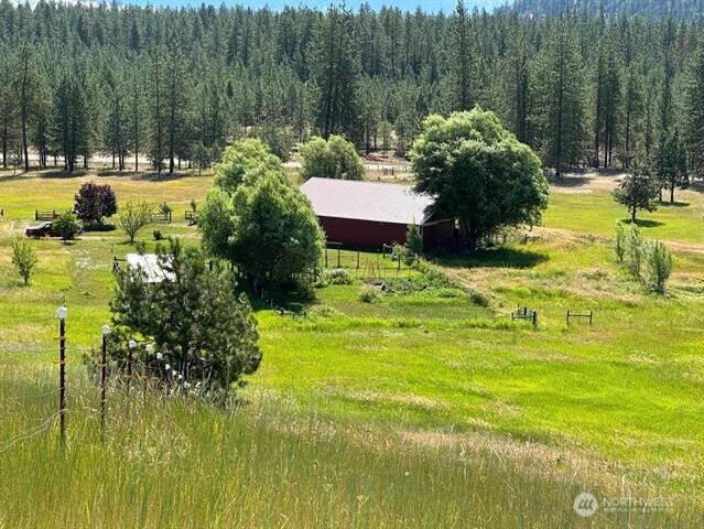 1239 Kewa Meteor Road Inchelium WA 99138