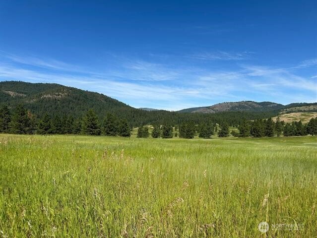 1239 Kewa Meteor Road Inchelium WA 99138