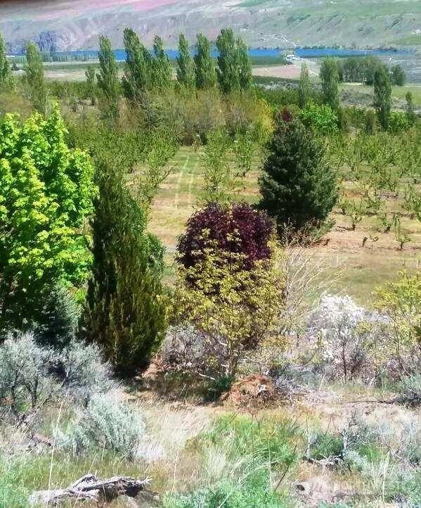 501 Jack Wells Road Bridgeport WA 98813
