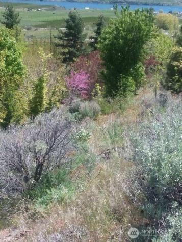 501 Jack Wells Road Bridgeport WA 98813