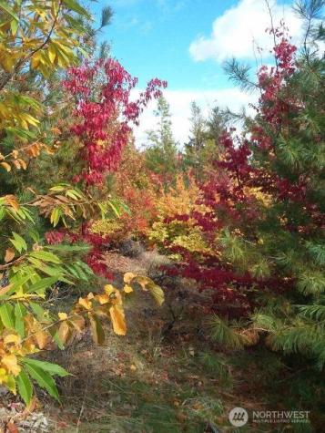 501 Jack Wells Road Bridgeport WA 98813