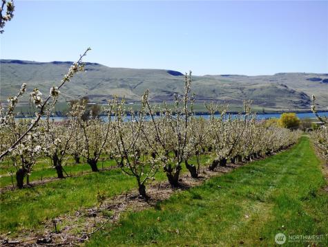 501 Jack Wells Road Bridgeport WA 98813