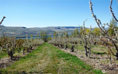501 Jack Wells Road Bridgeport WA 98813