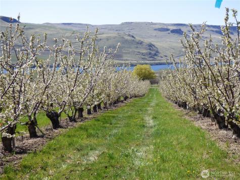 501 Jack Wells Road Bridgeport WA 98813