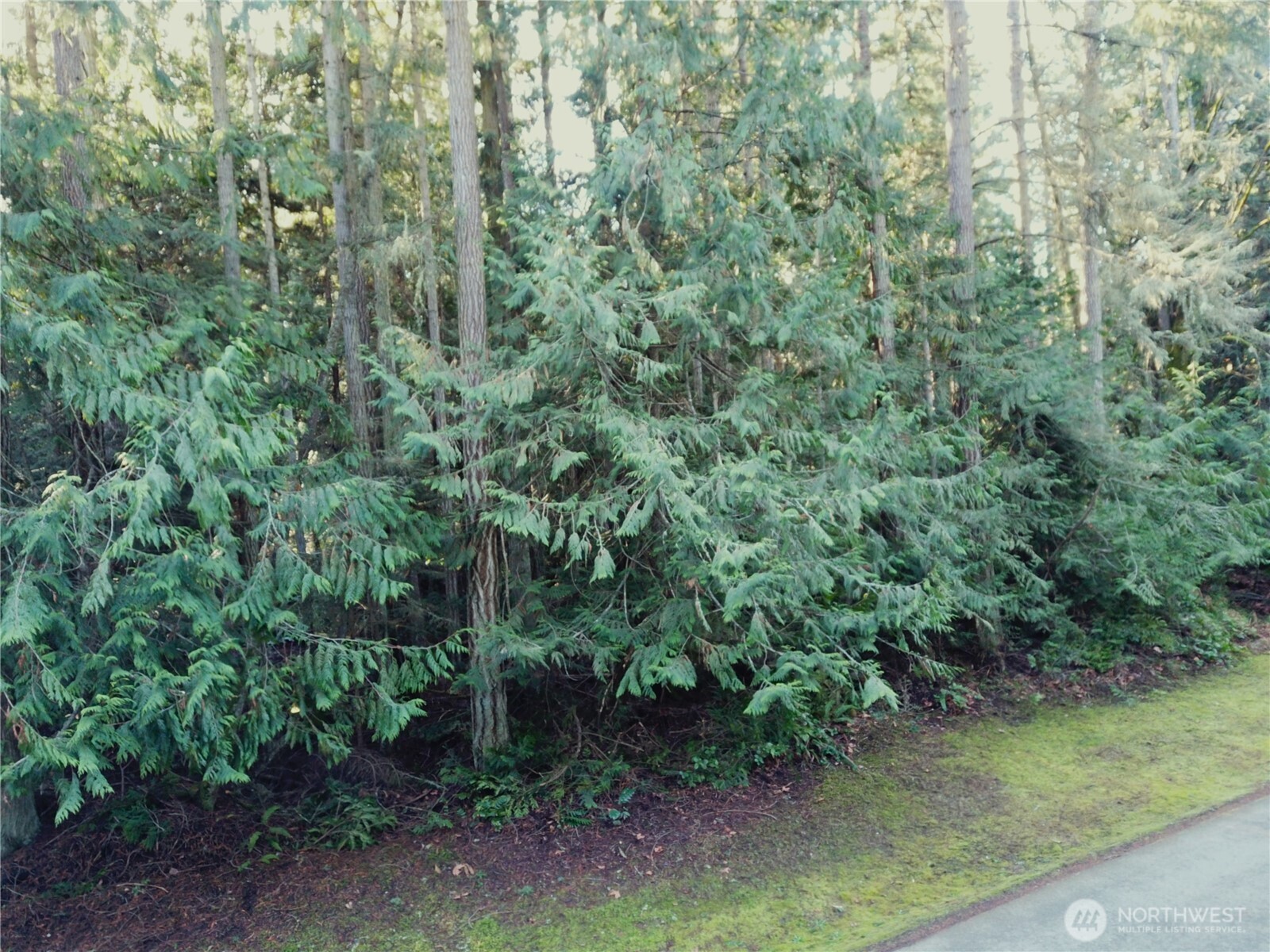 9999 Hidden Highlands Lot 3 Port Angeles WA 98362