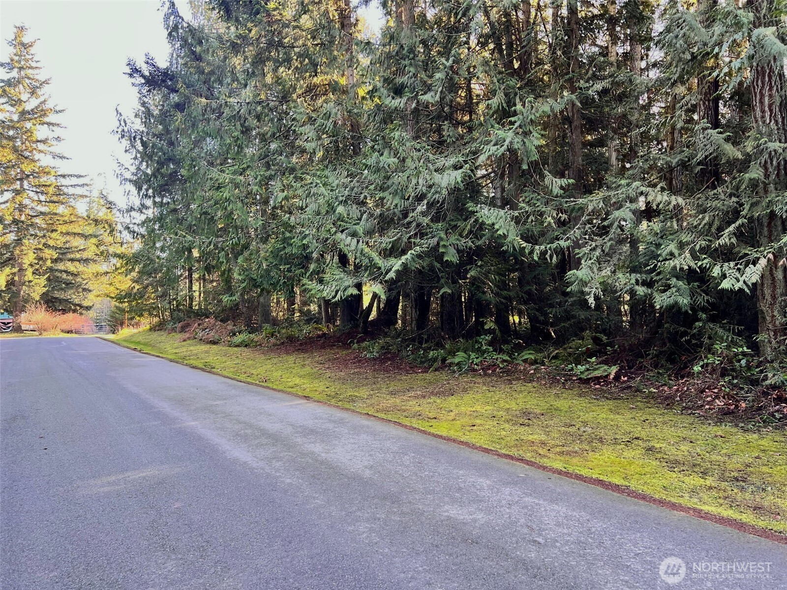 9999 Hidden Highlands Lot 3 Port Angeles WA 98362