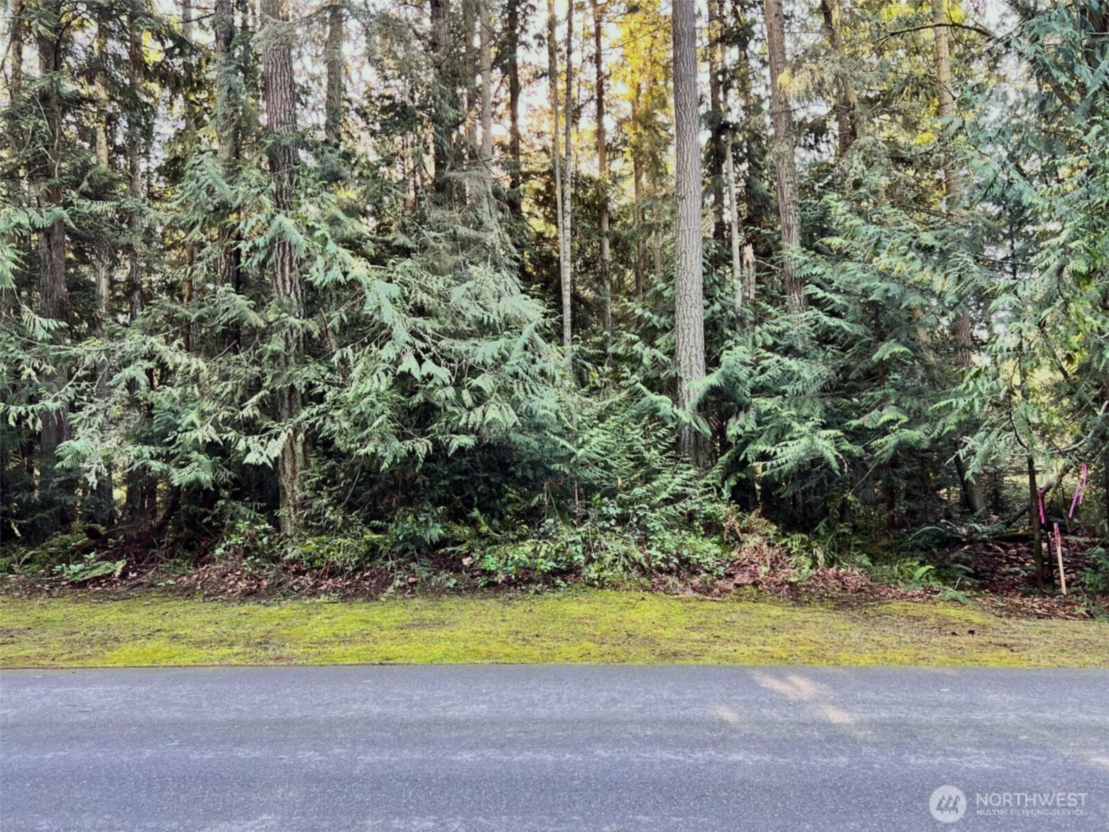 9999 Hidden Highlands Lot 3 Port Angeles WA 98362