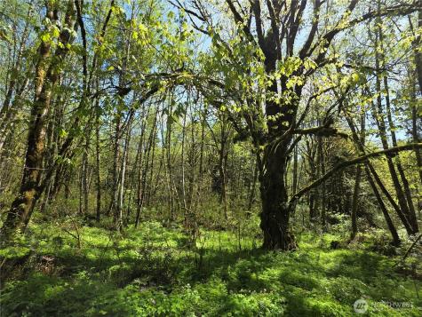 0 Mill Falls Lane Longview WA 98632