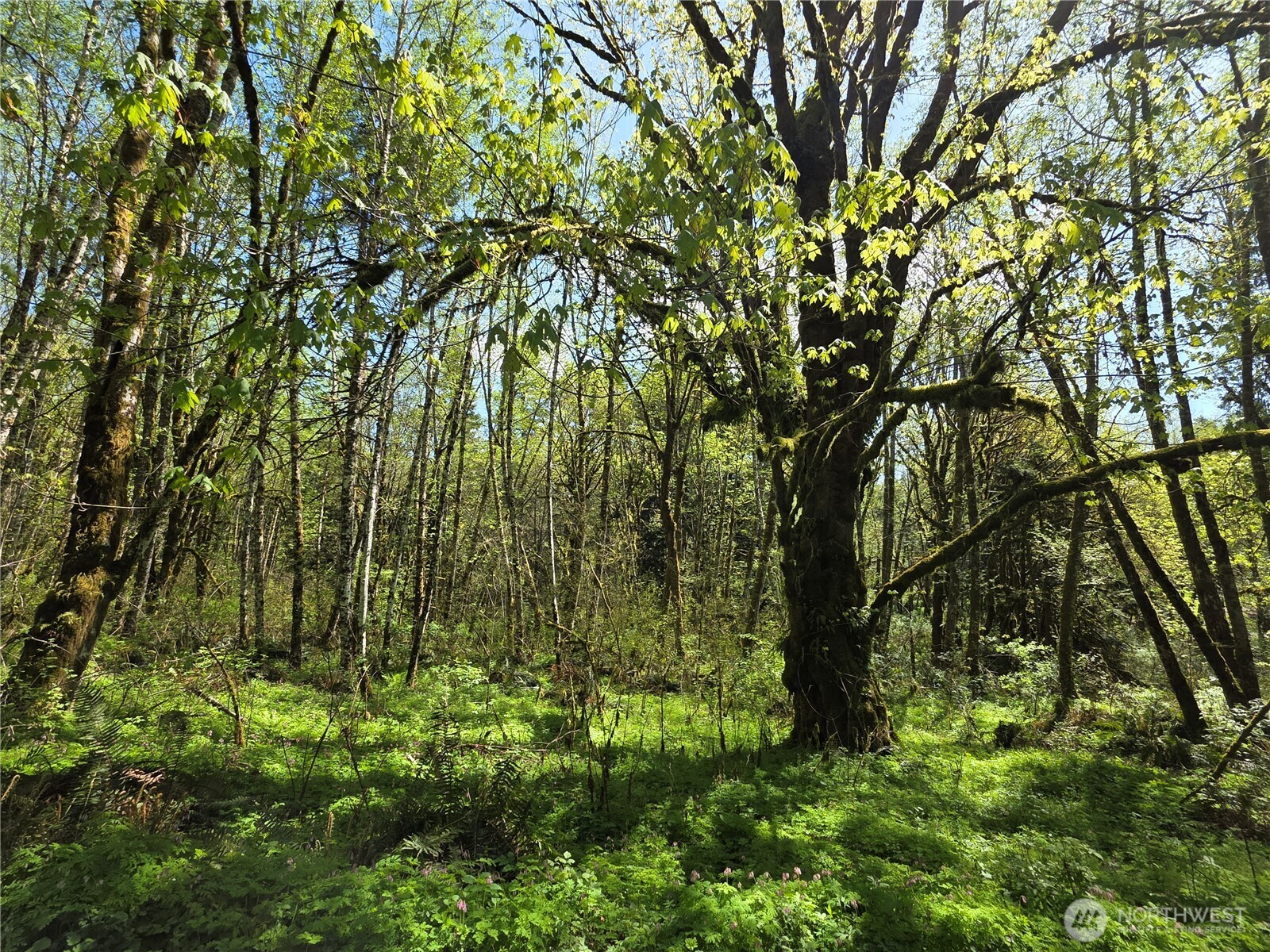 0 Mill Falls Lane Longview WA 98632