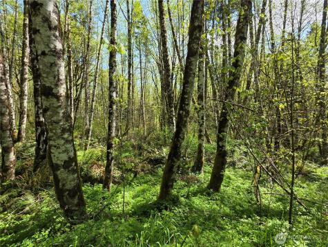 0 Mill Falls Lane Longview WA 98632