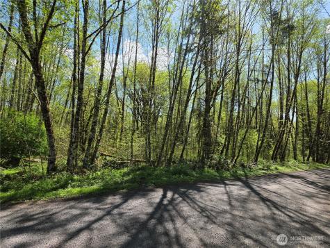 0 Mill Falls Lane Longview WA 98632