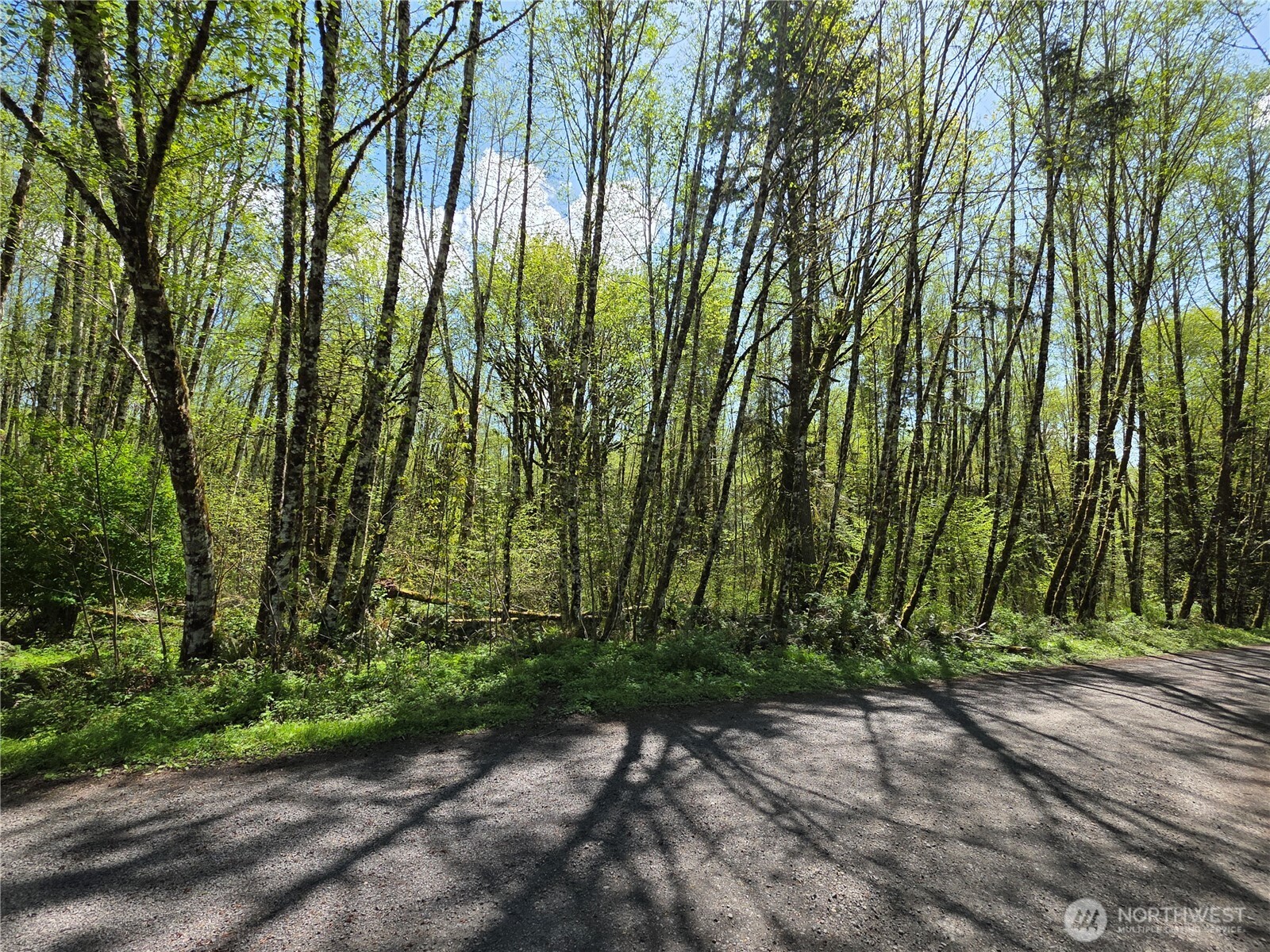 0 Mill Falls Lane Longview WA 98632