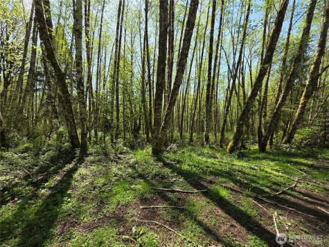 0 Mill Falls Lane Longview WA 98632