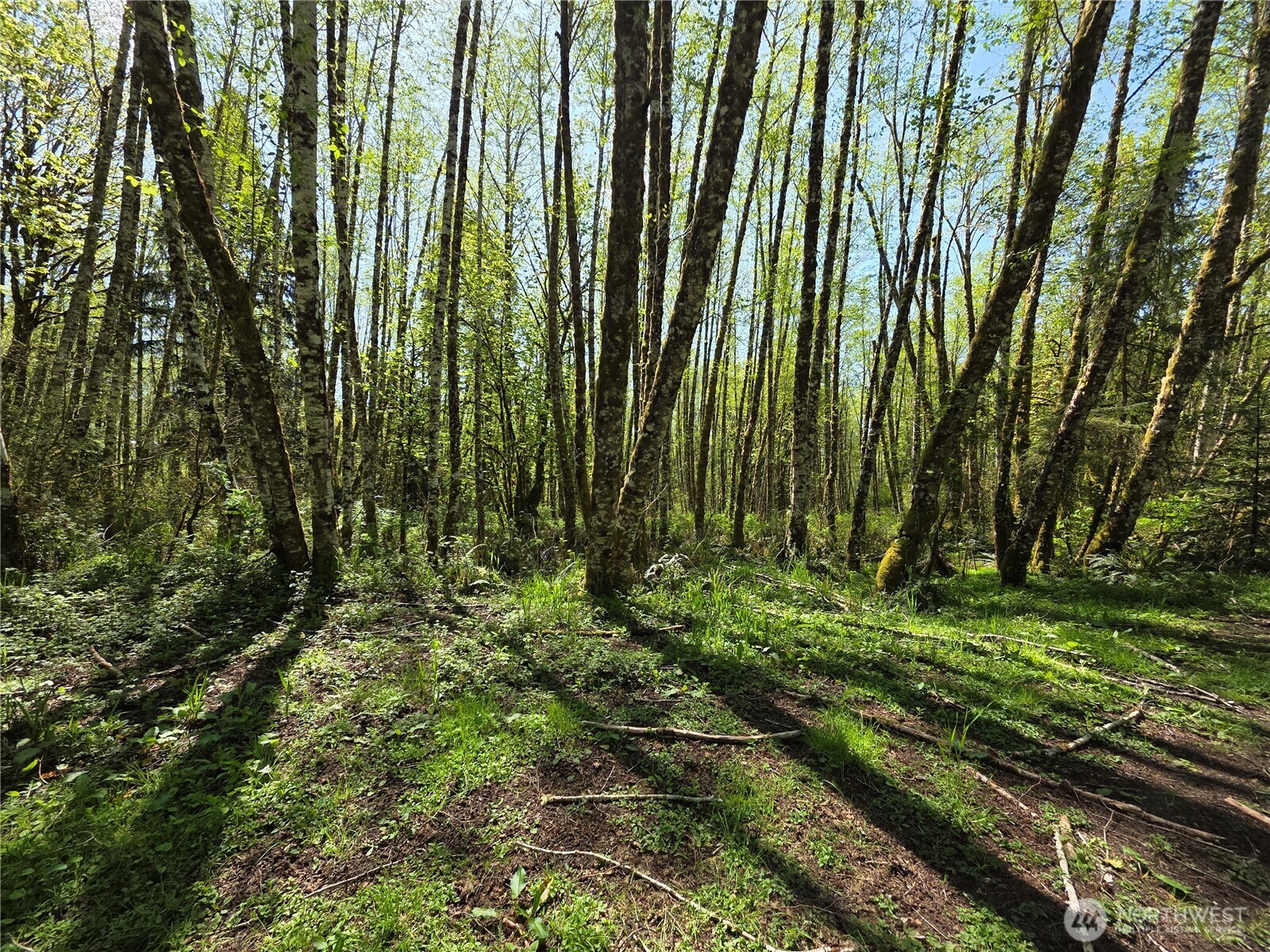 0 Mill Falls Lane Longview WA 98632