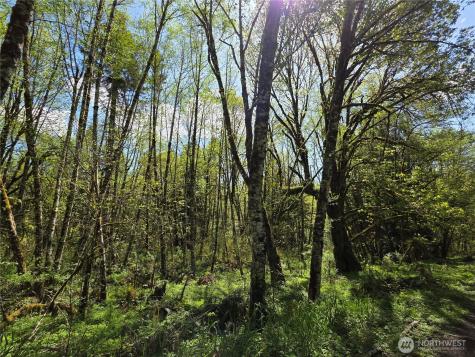 0 Mill Falls Lane Longview WA 98632