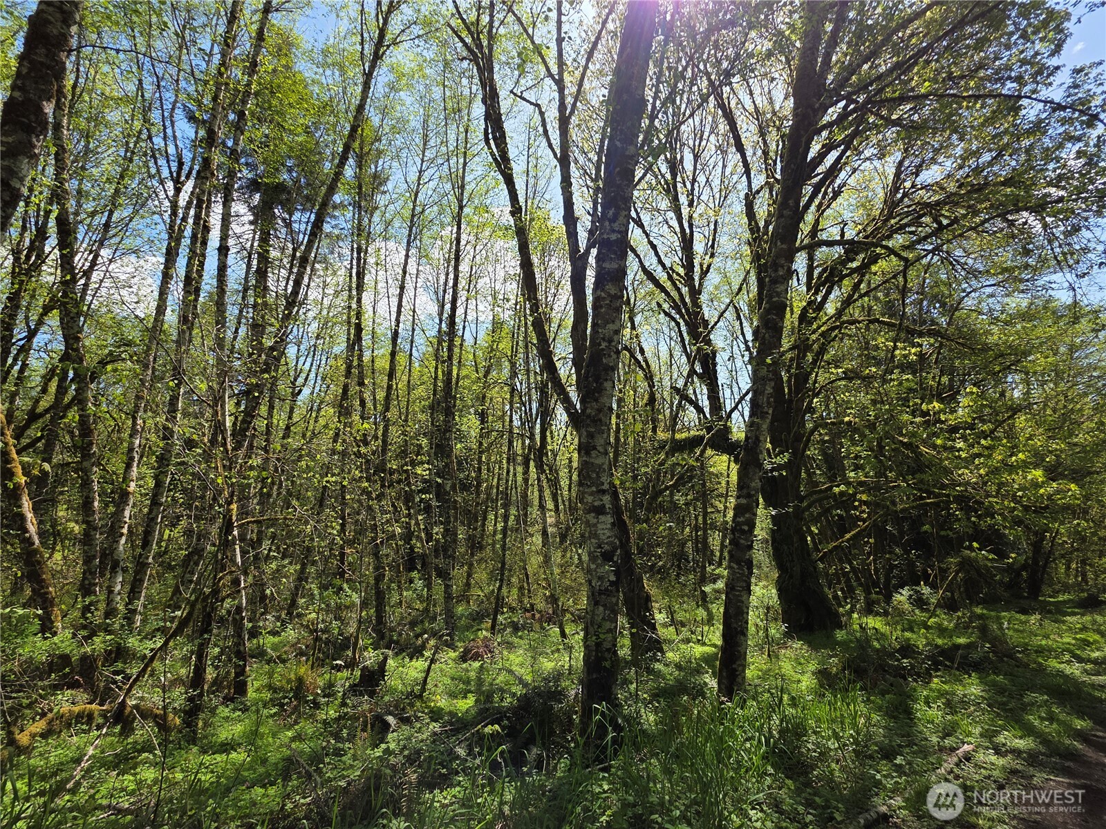 0 Mill Falls Lane Longview WA 98632