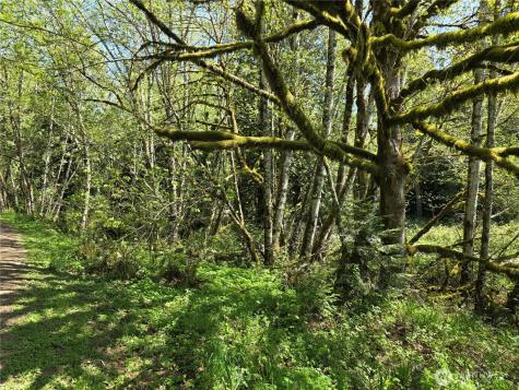 0 Mill Falls Lane Longview WA 98632
