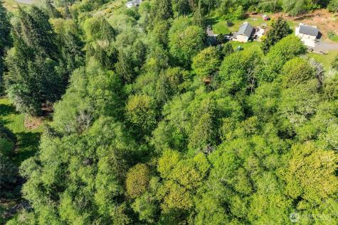 0 Mill Falls Lane Longview WA 98632