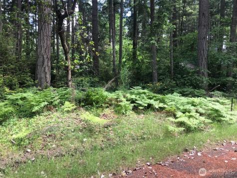 11205 110th Street Anderson Island WA 98303