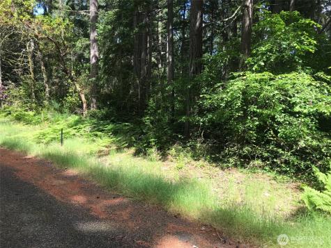 11205 110th Street Anderson Island WA 98303