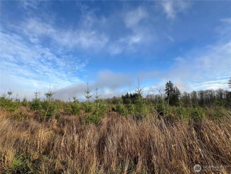 2 Snow Creek Road Quilcene WA 98376