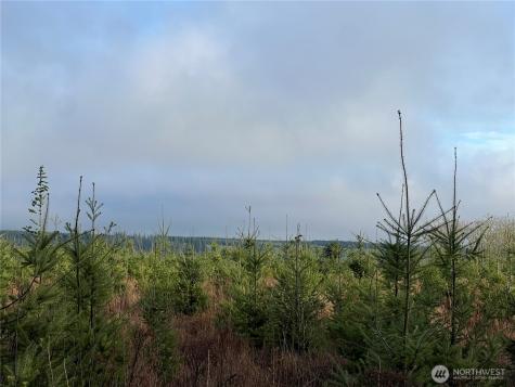 2 Snow Creek Road Quilcene WA 98376