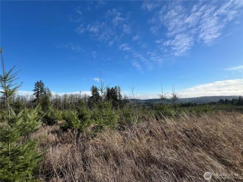 2 Snow Creek Road Quilcene WA 98376
