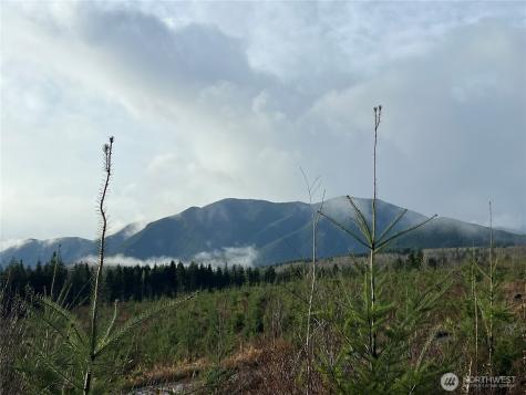 2 Snow Creek Road Quilcene WA 98376