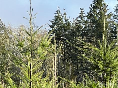 2 Snow Creek Road Quilcene WA 98376