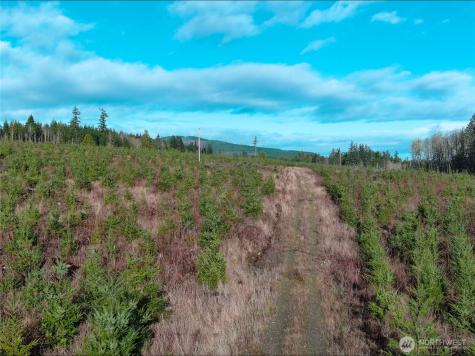 2 Snow Creek Road Quilcene WA 98376