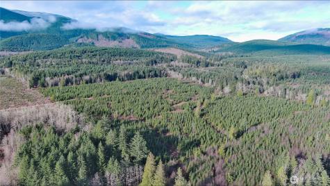 2 Snow Creek Road Quilcene WA 98376