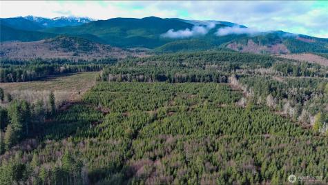 2 Snow Creek Road Quilcene WA 98376
