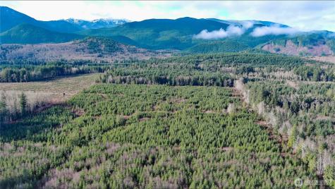 2 Snow Creek Road Quilcene WA 98376
