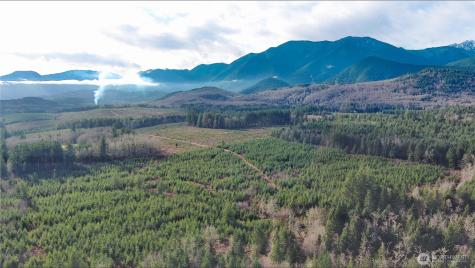 2 Snow Creek Road Quilcene WA 98376
