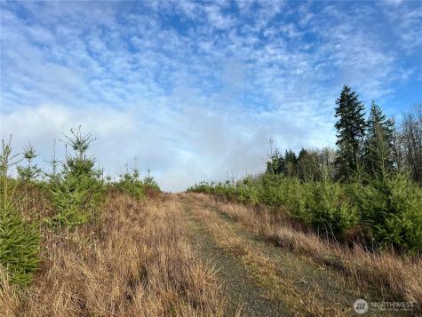 2 Snow Creek Road Quilcene WA 98376