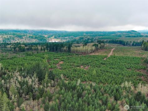 2 Snow Creek Road Quilcene WA 98376
