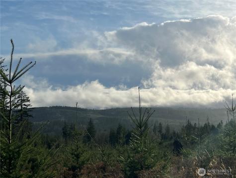2 Snow Creek Road Quilcene WA 98376