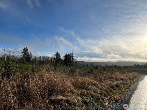 2 Snow Creek Road Quilcene WA 98376
