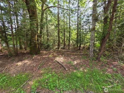 2340 Westwind Drive NW Olympia WA 98502