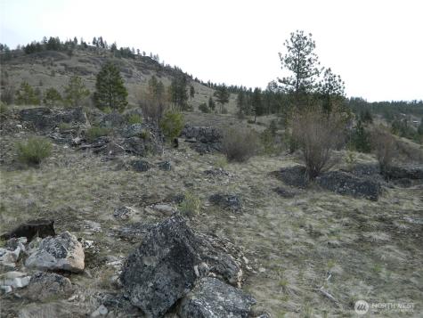 111 Tbd Six Gun Way Tonasket WA 98855