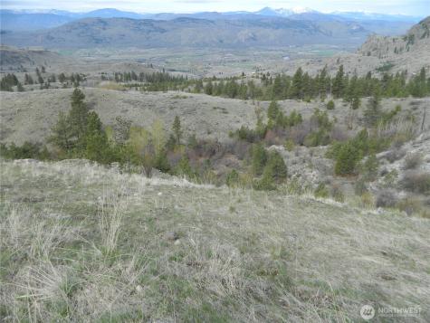 111 Tbd Six Gun Way Tonasket WA 98855