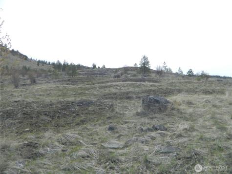 111 Tbd Six Gun Way Tonasket WA 98855