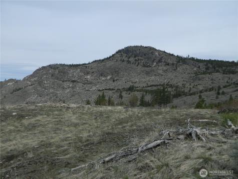 111 Tbd Six Gun Way Tonasket WA 98855