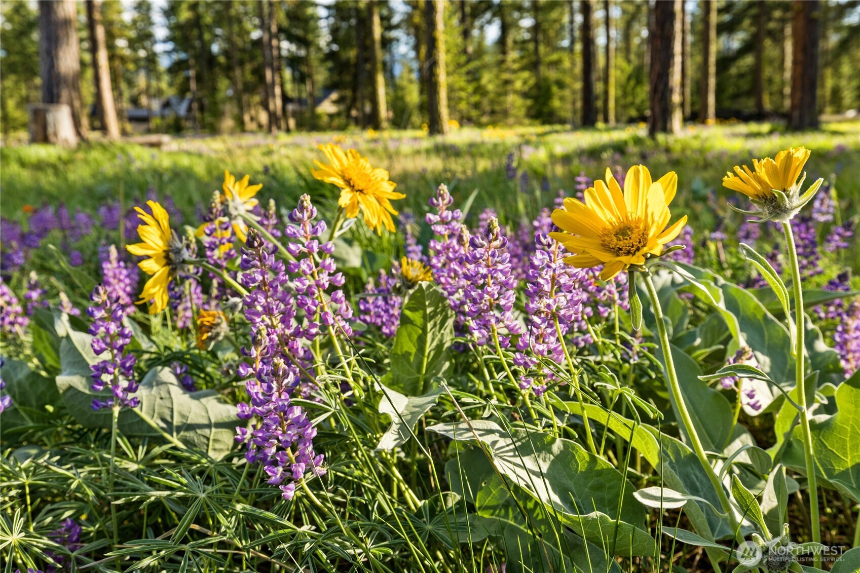 53 Wanawish Loop Cle Elum WA 98922