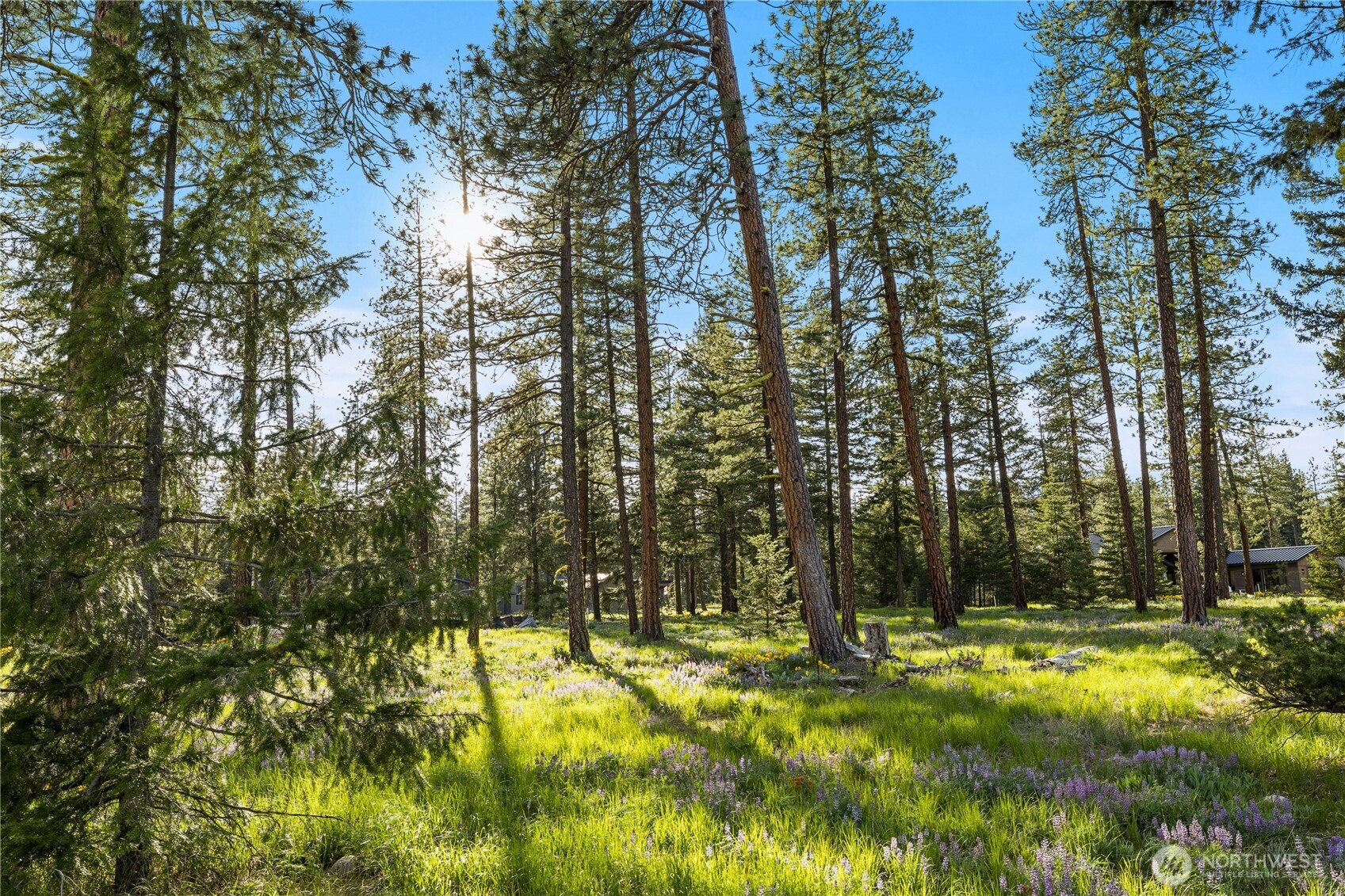 53 Wanawish Loop Cle Elum WA 98922