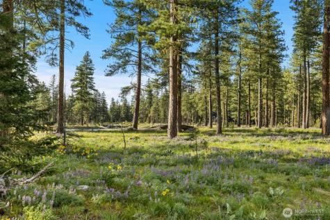 53 Wanawish Loop Cle Elum WA 98922